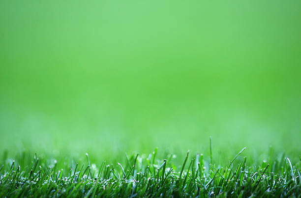 中超聯(lián)賽直播指南:五大平臺(tái)任你選