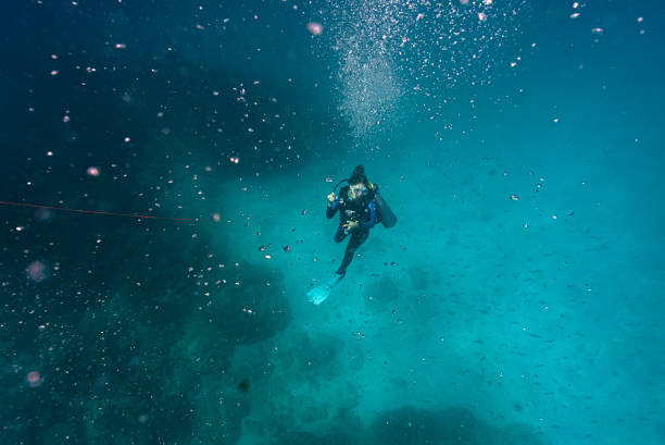 田徑二級(jí)運(yùn)動(dòng)員標(biāo)準(zhǔn)解析：各項(xiàng)目最低達(dá)標(biāo)線