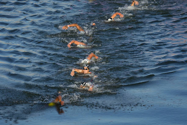 從零開始學游泳教練：北京培訓課程選擇指南